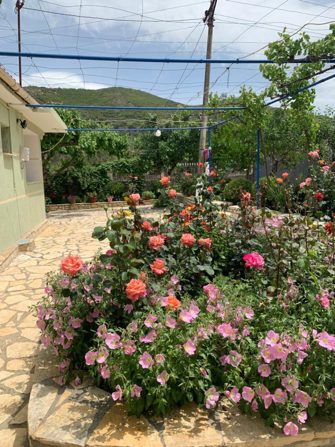 Vjosa Guest House Memaliaj Εξωτερικό φωτογραφία