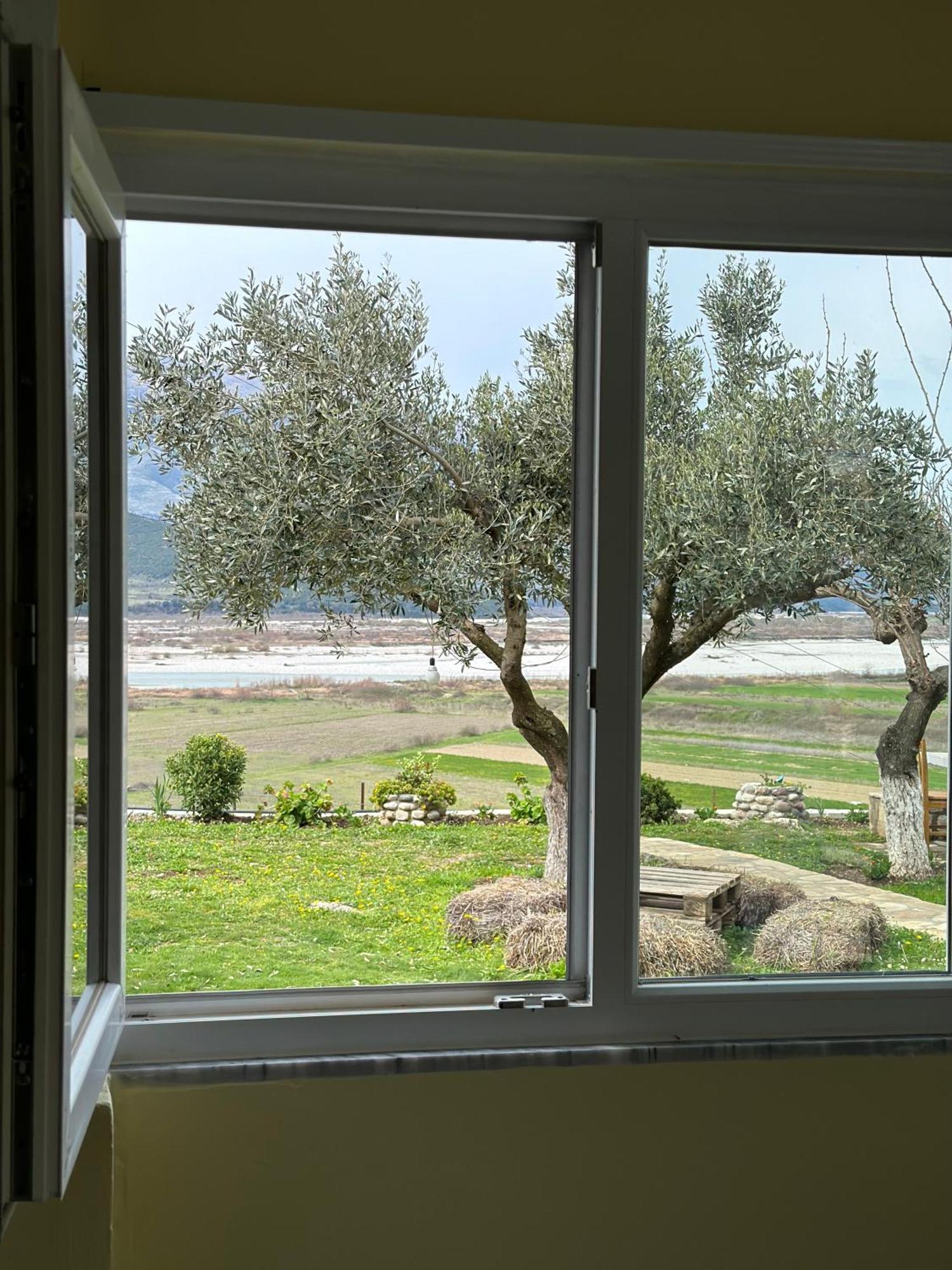 Vjosa Guest House Memaliaj Εξωτερικό φωτογραφία