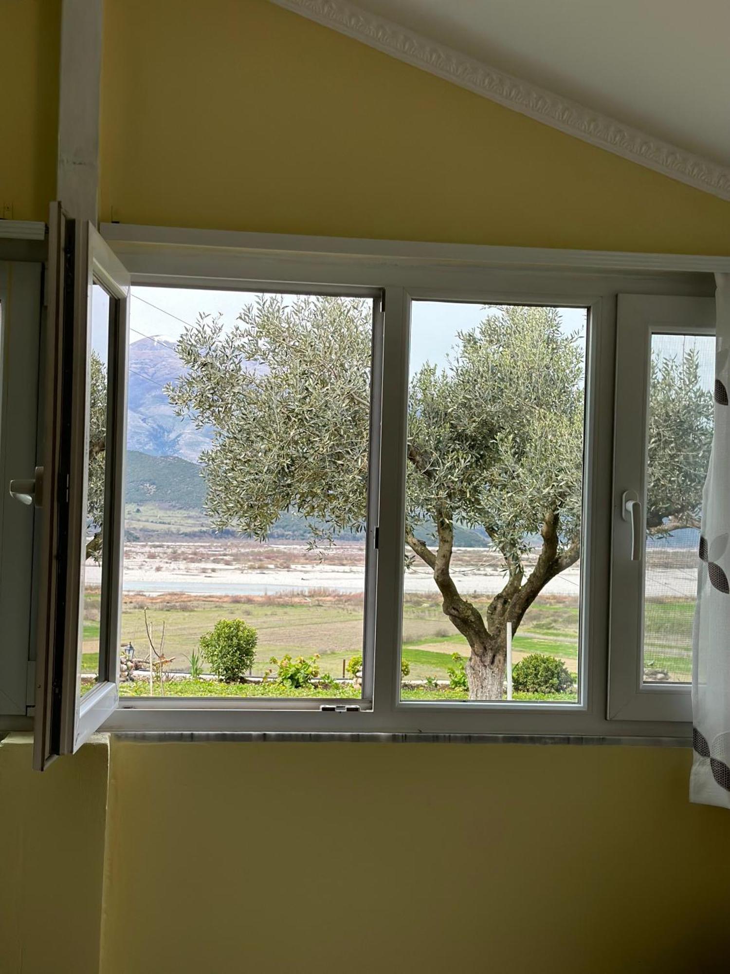Vjosa Guest House Memaliaj Εξωτερικό φωτογραφία