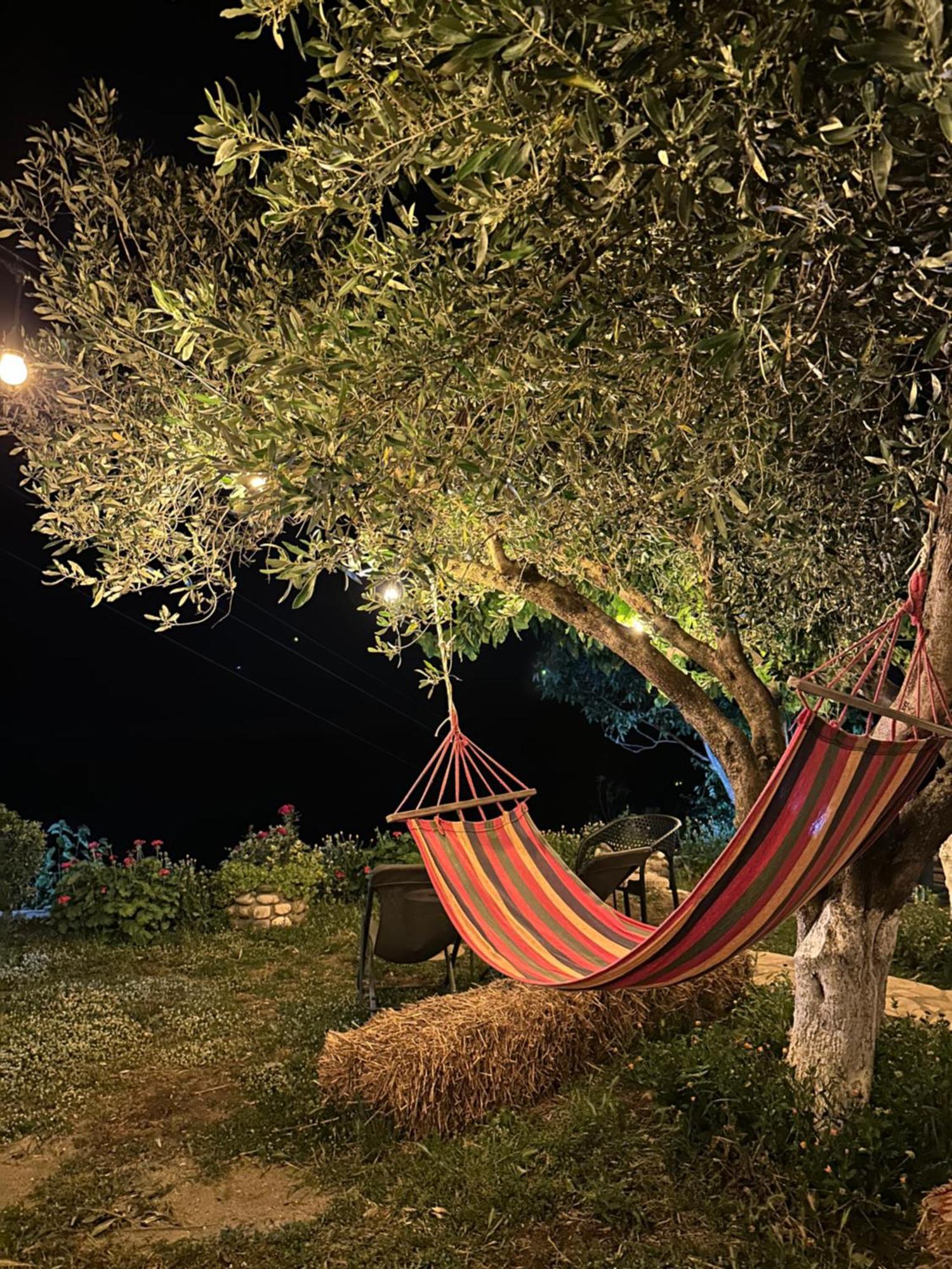Vjosa Guest House Memaliaj Εξωτερικό φωτογραφία